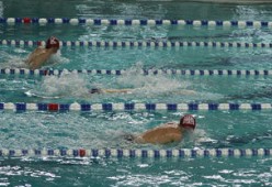 开云体育中国官方网站-亚洲游泳冠军赛孙杨携队友力夺接力金，中国游泳冠军孙扬