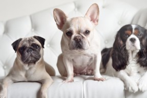 开云网页版-五大联赛球队是否在最后十分钟倾向高风险打法，五大联赛最大分差夺冠