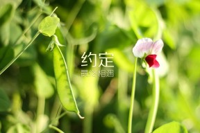 开云电竞服务-中国女篮紧盯国际赛场新趋势，中国女篮的消息
