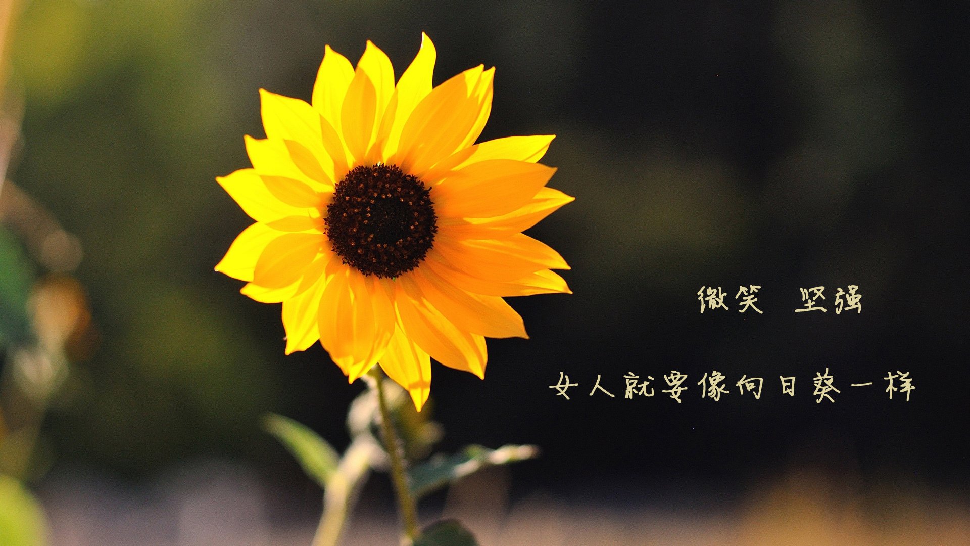 法甲赛季中密集赛程下恢复机制与表现稳定性研究，法甲联赛什么时候恢复