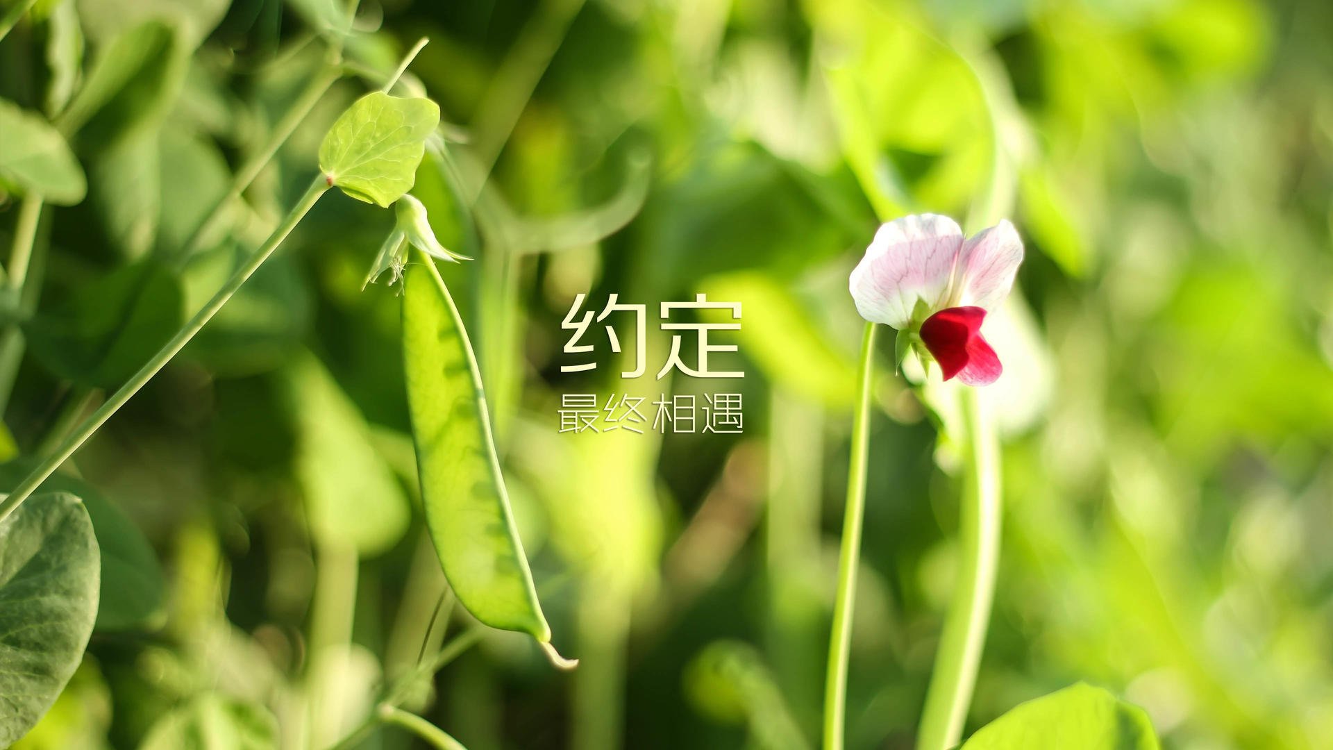 中国女篮紧盯国际赛场新趋势，中国女篮的消息