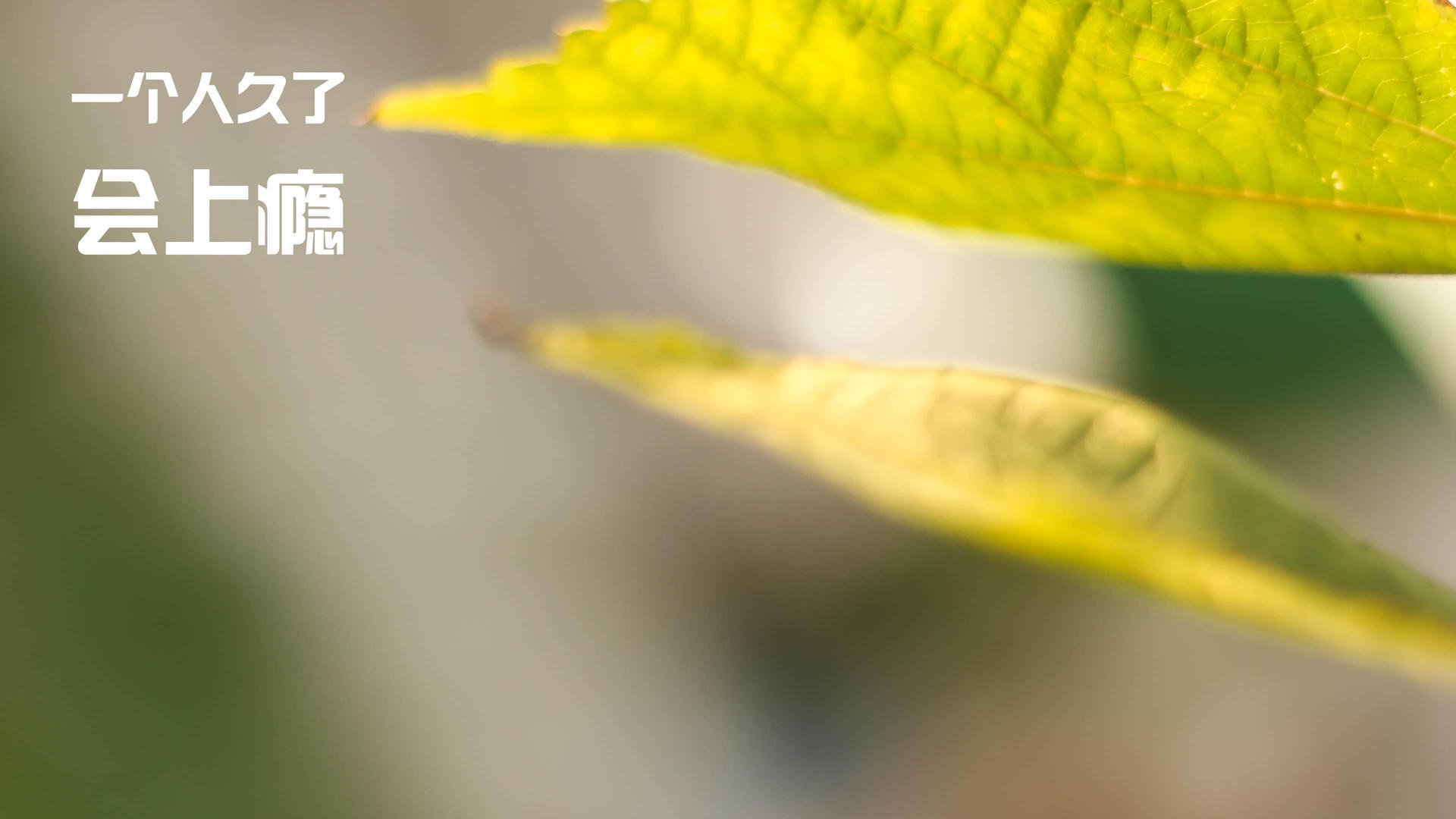 战术切换频率是否直接关联球队丢球时间段，战术转换