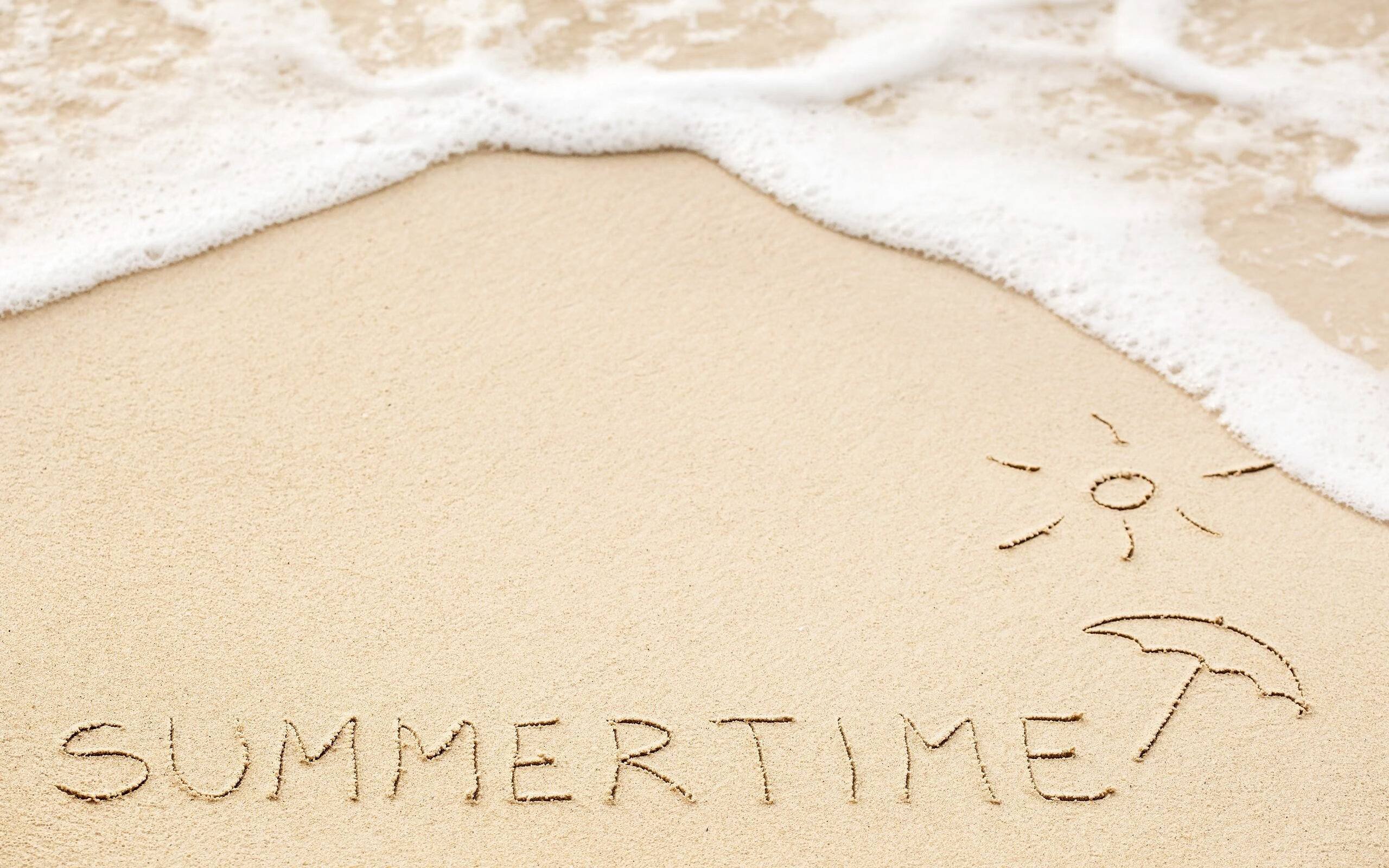 体育新闻中心公布各省运动员跨省转会审批指南,运动员转会是什么意思