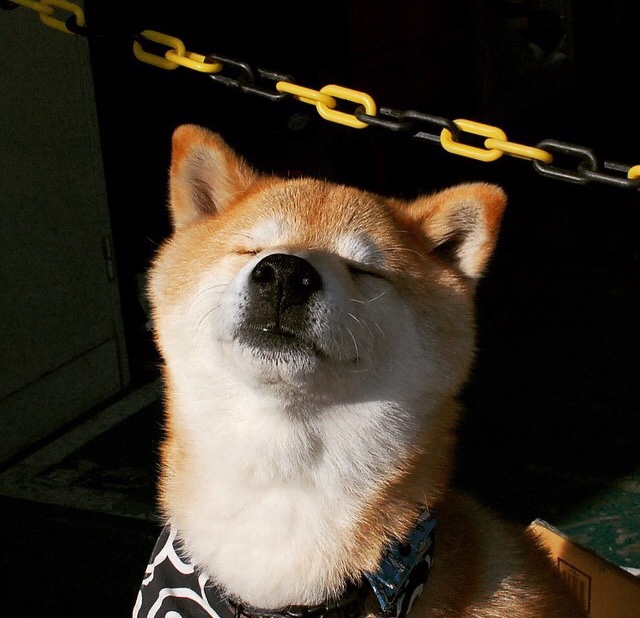 安东·李恩：全黑队中场的进攻发动机，突破防线如入无人之境，李安东尼